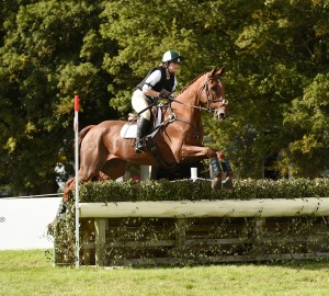 Sergeant Squirrel 24 years old ridden by Lauren Marsh and fed on Conditioning Mash2