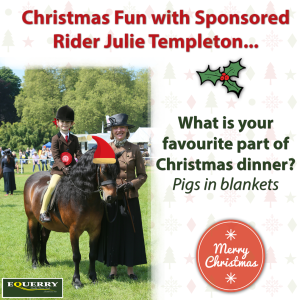 Christmas fun with Julie Templeton