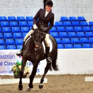 Remember Rio,_fed on Equerry Condition Mash. Belongs to Lynell Sheridan from South_Lanarkshire