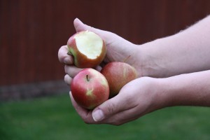 eat fruit and vegetables